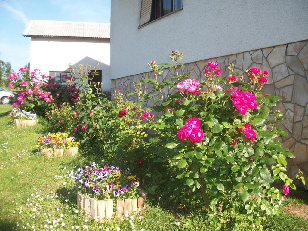 House Veljko Villa Vrhovine Exterior photo